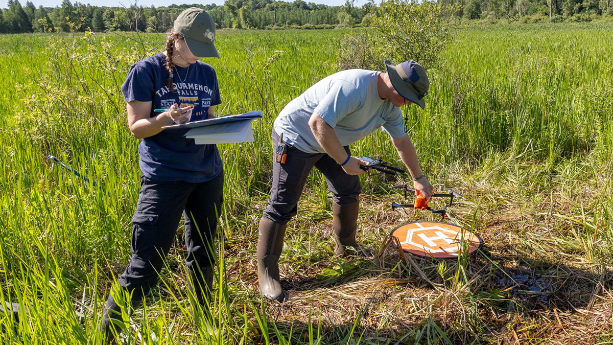 Researchers use drones to find elusive Michigan rattlesnake