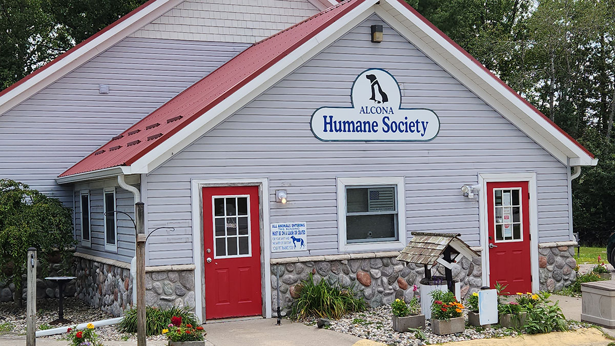 Ladies night out to benefit humane society